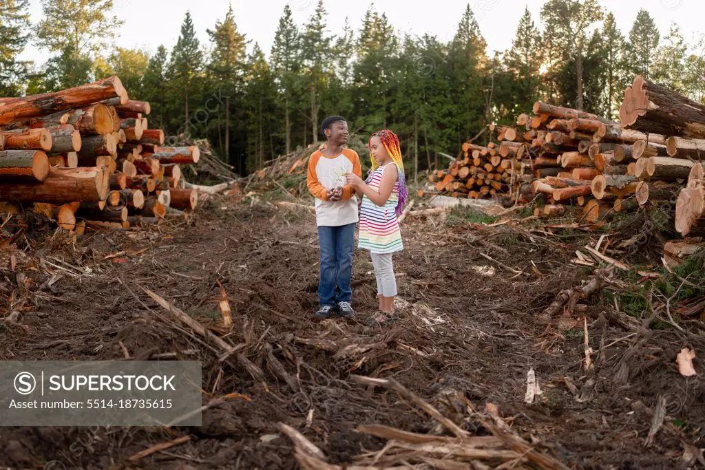 Siblings stand on logging site