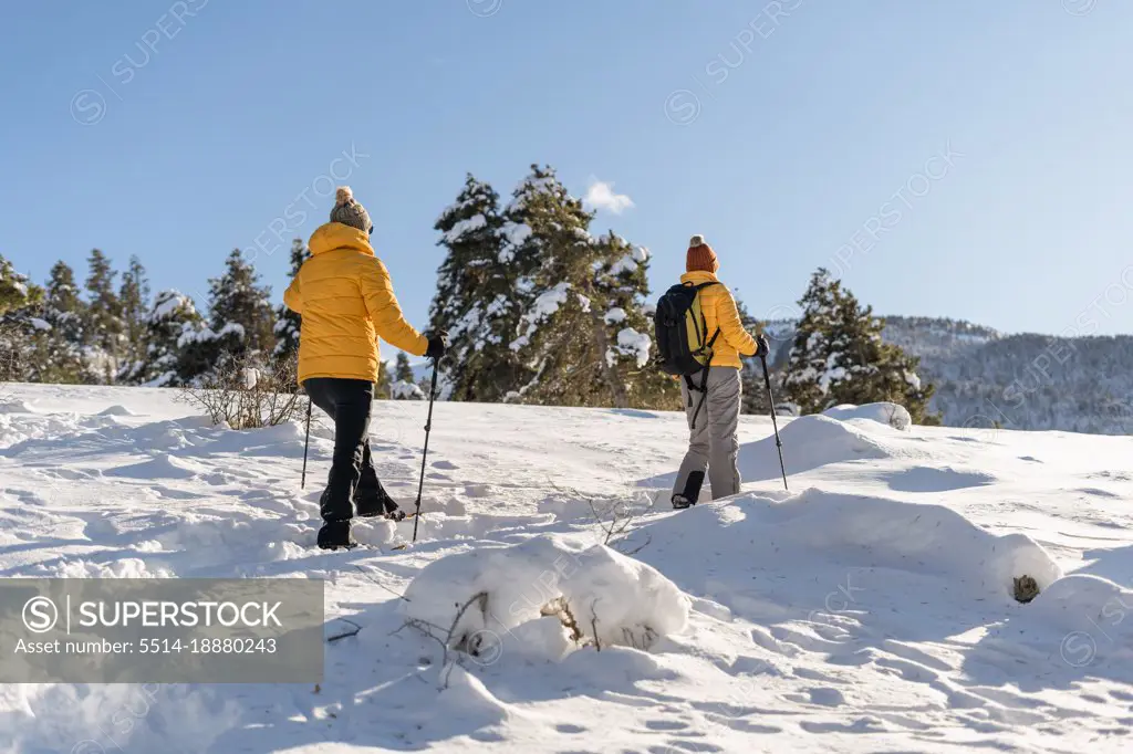 Back view of couple snowshoeing in snowy forest.Winter sports concept