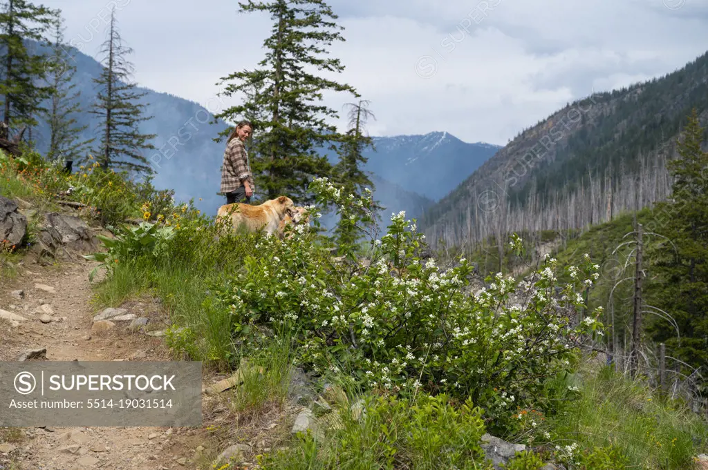 Female hiking with dogs in The North Cascades