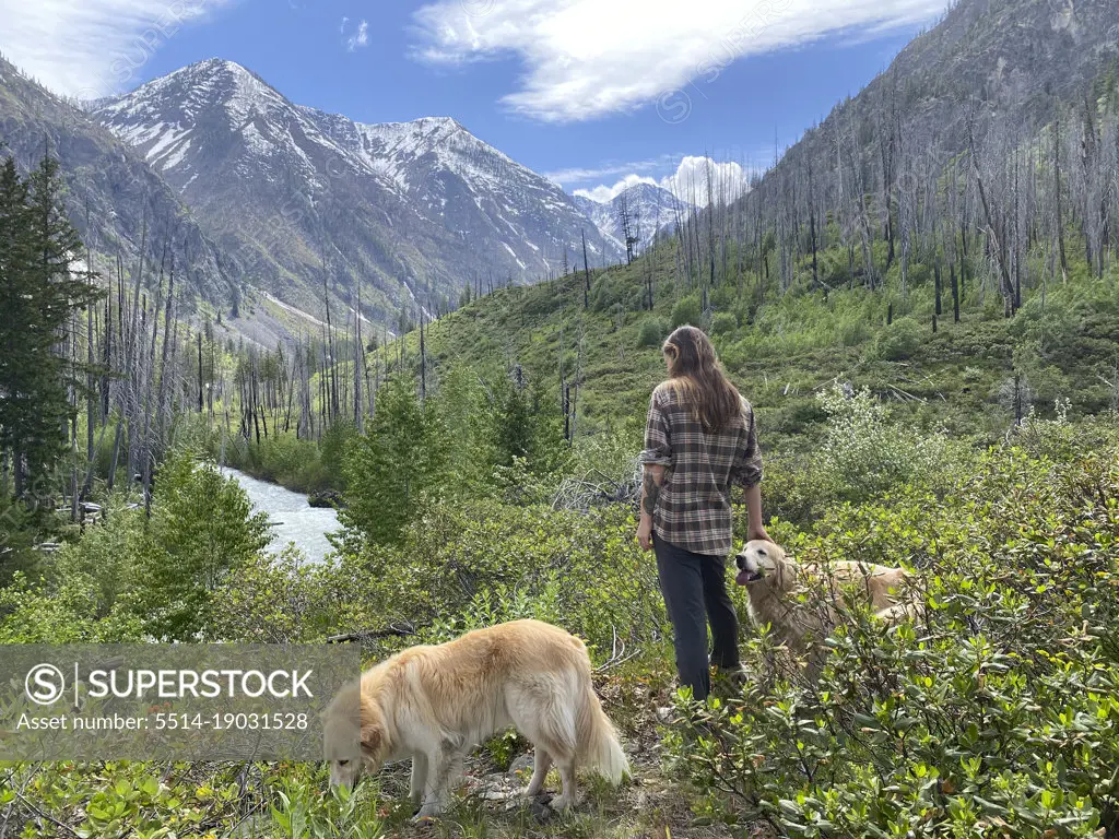 Female hiking with dogs in a burned river valley in The North Cascades
