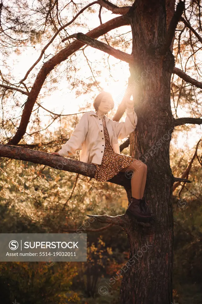 Teenage girl sitting on pine tree branch in forest