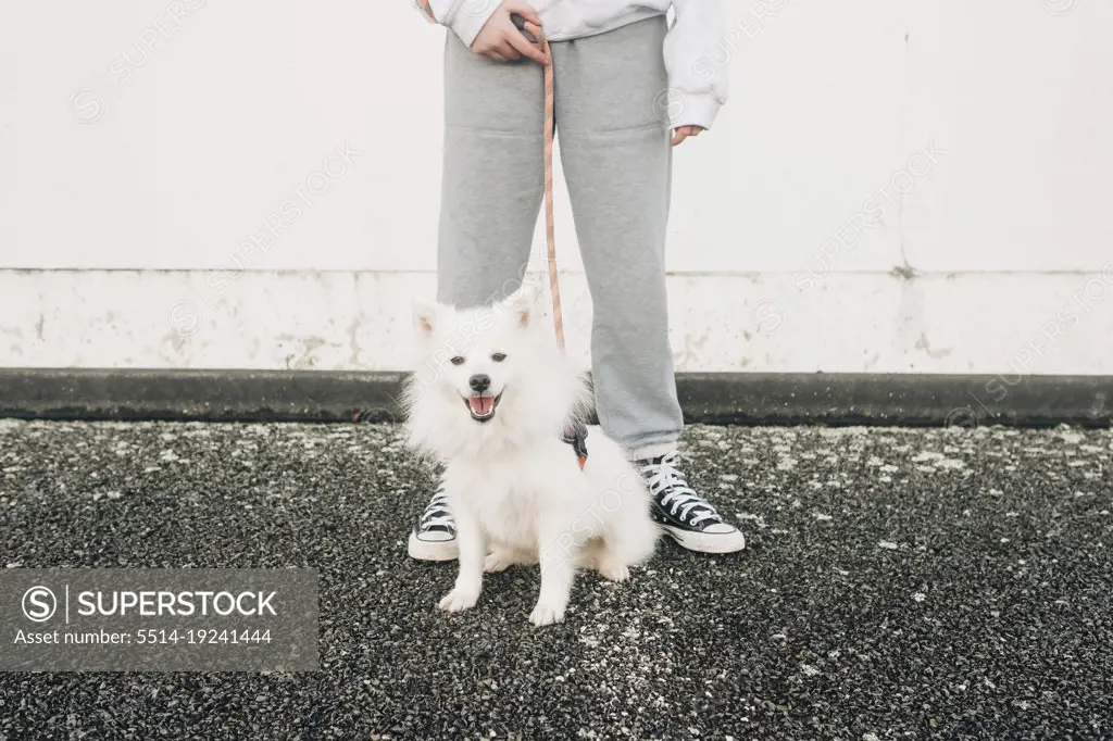 Girl standing and holding a lead for a small cute fluffy dog