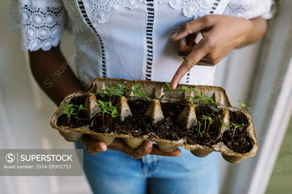 black young woman growing marigold flowers in egg carton