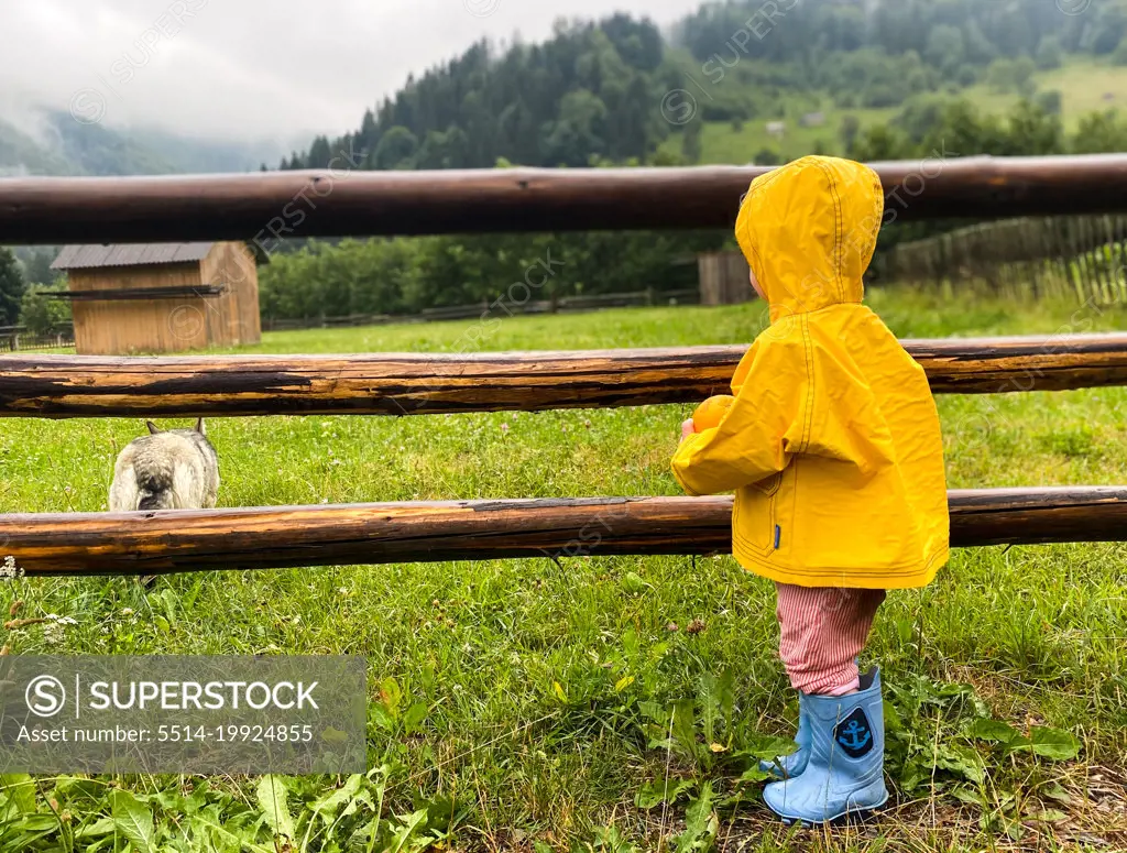 Toddler is looking at dog through fence
