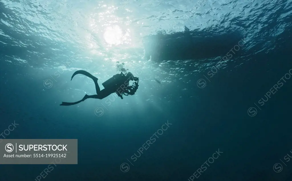 underwater photographer ascending to the surface at Tubbatha Reefs