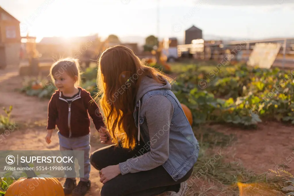 Mom and daughter looking for a pumpkin in a pumpkin patch
