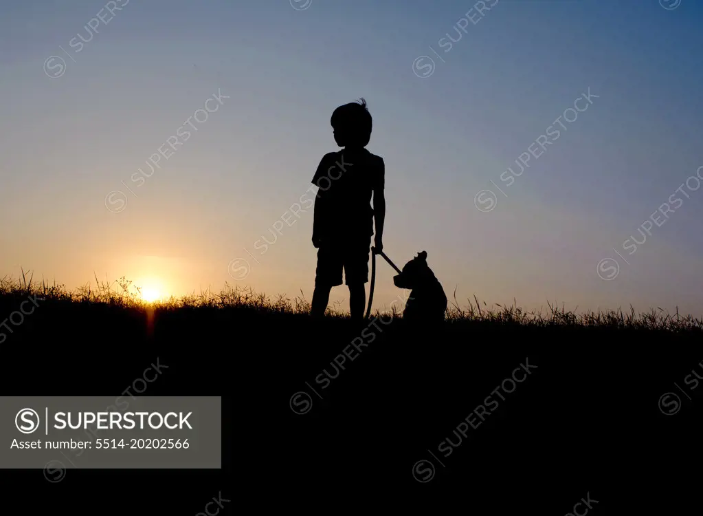A Silhouette of A Boy and Dog