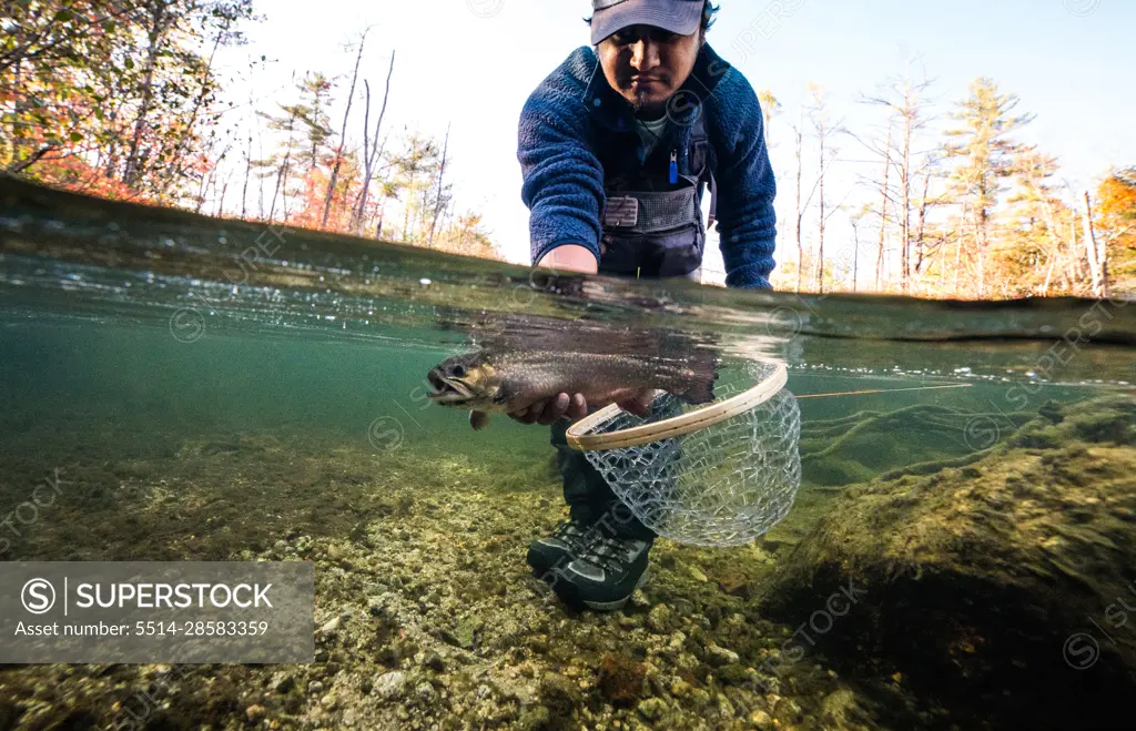 Underwater photo of man releasing a brook trout during foliage season