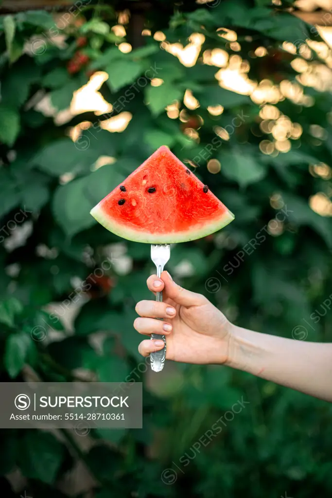 a woman with a watermelon on the garden