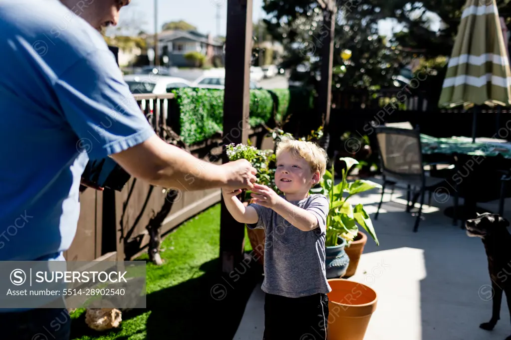 Four Year Old Boy Planting with Uncle for Spring in San Diego
