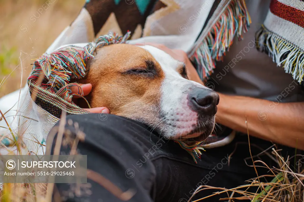 Dog with closed eyes in poncho outdoors, hugged by human