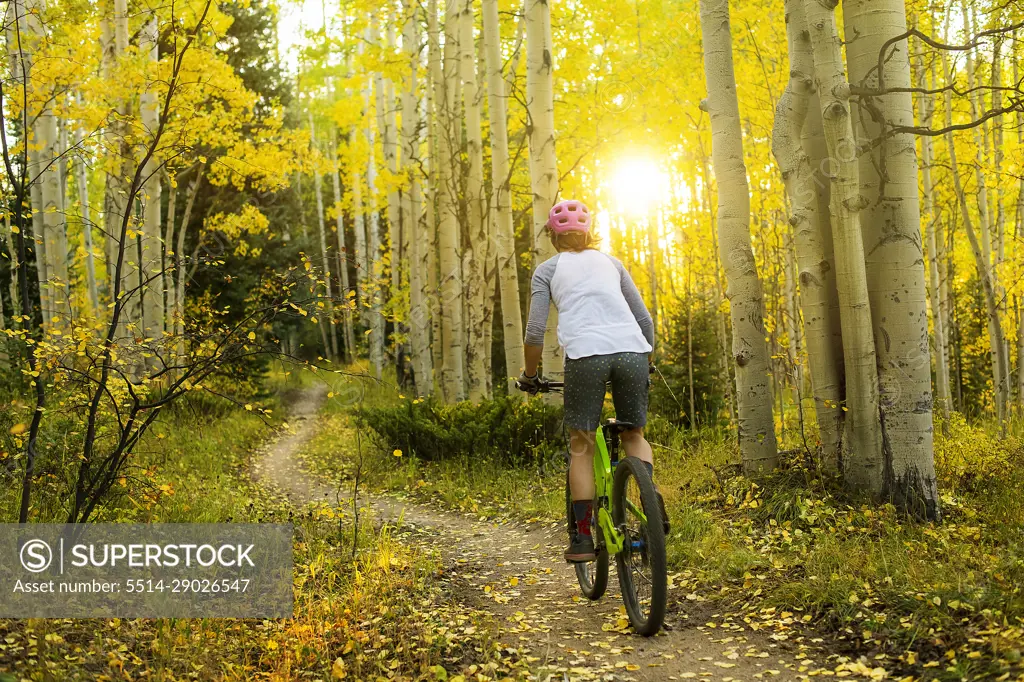 Rear view of woman mountain biking in forest during sunset
