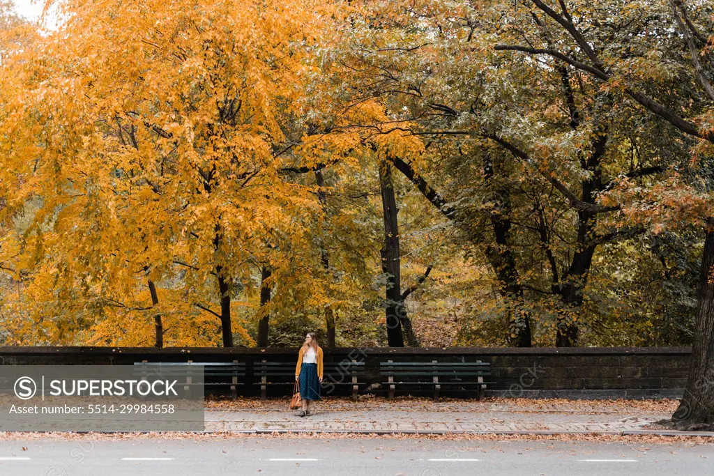 woman stands across the street framed by vibrant yellow fall foliage.