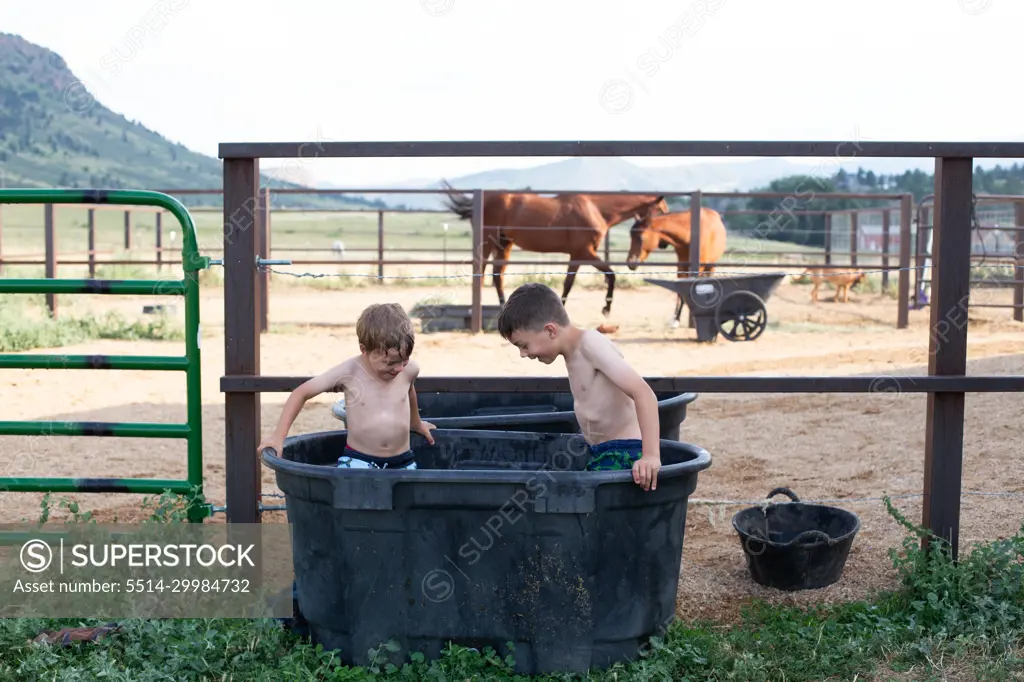 Kids playing together in horse water container