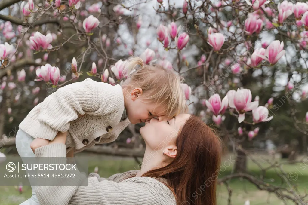 A woman kiss her little daughter near a blooming magnolia tree.