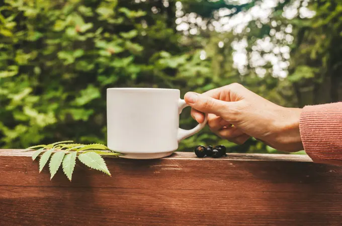 A cup of tea in the forest. The concept of outdoor recreation.