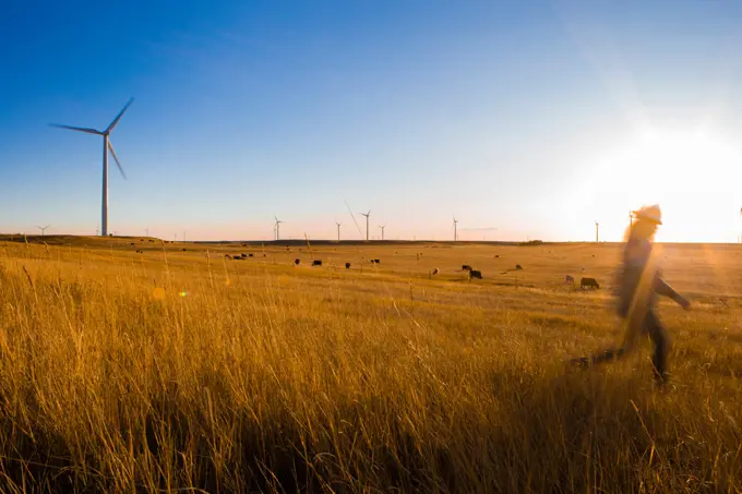 Female wind farm operator walks past wind turbines at sunset