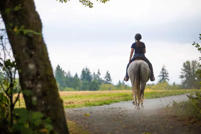 Rear view of female horseback rider on tranquil trail.