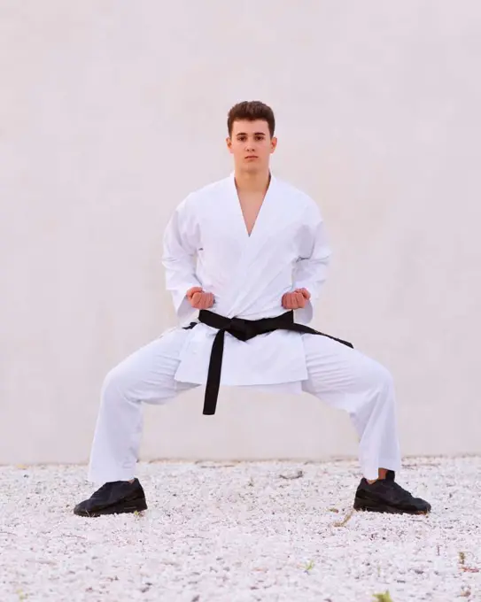 teenager boy karate expert practicing fighting positions with hi