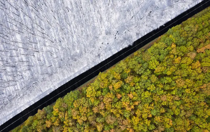 Aerial view by drone of autumn and spring separated by a road