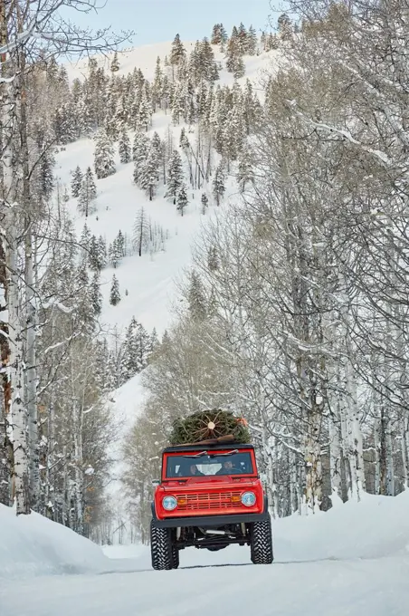 Ford Bronco with Christmas Tree on roof drives drives on snowy road