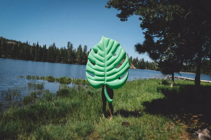 Woman Hides behind Giant Philodendron Floatie at a summer lake