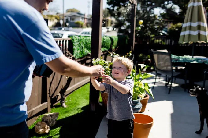 Four Year Old Boy Planting with Uncle for Spring in San Diego