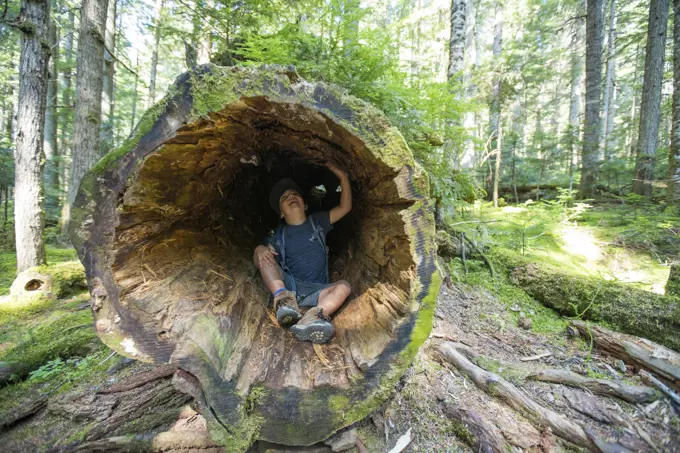 Boy sitting inside discovering and exploring old growth tree,