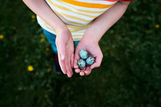 a child holding three blue bird eggs