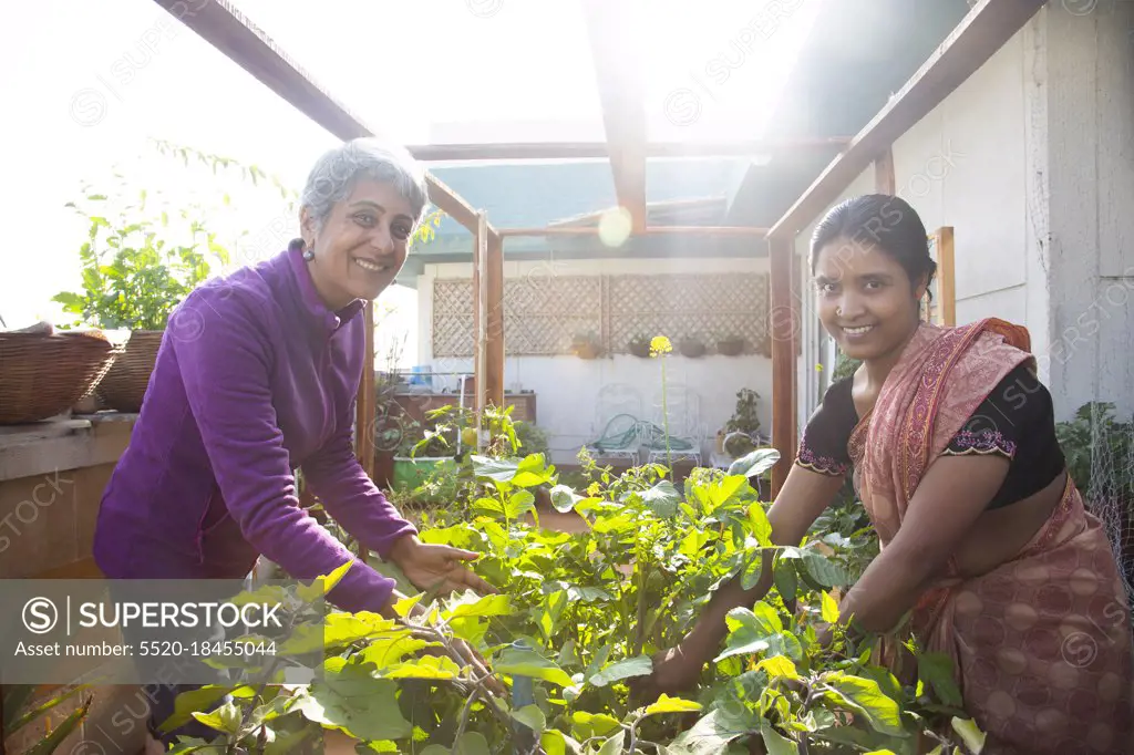 Two happy young women harvesting on a winter morning