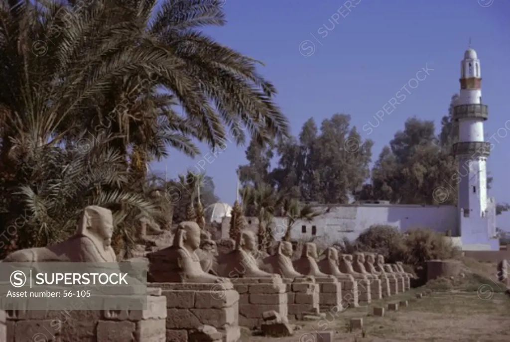 Temple of LuxorLuxorEgypt