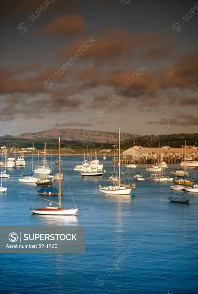 USA, California, Monterey, harbor with sailboats