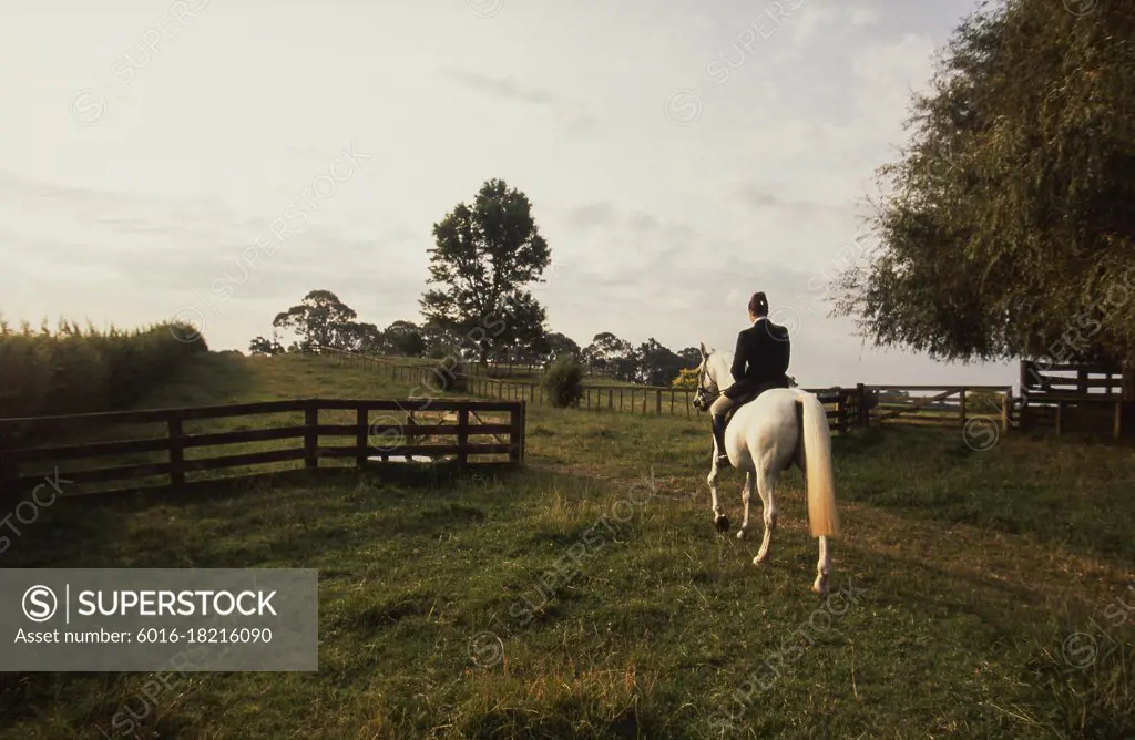 Woman riding white horse through rural property in late afternoon light
