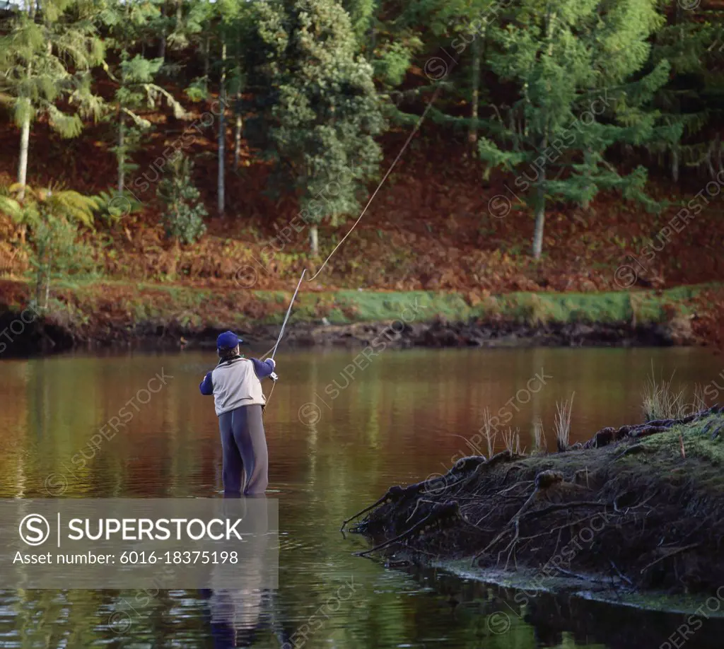 Back view of man wading and casting line in water fishing for trout in  autumn - SuperStock