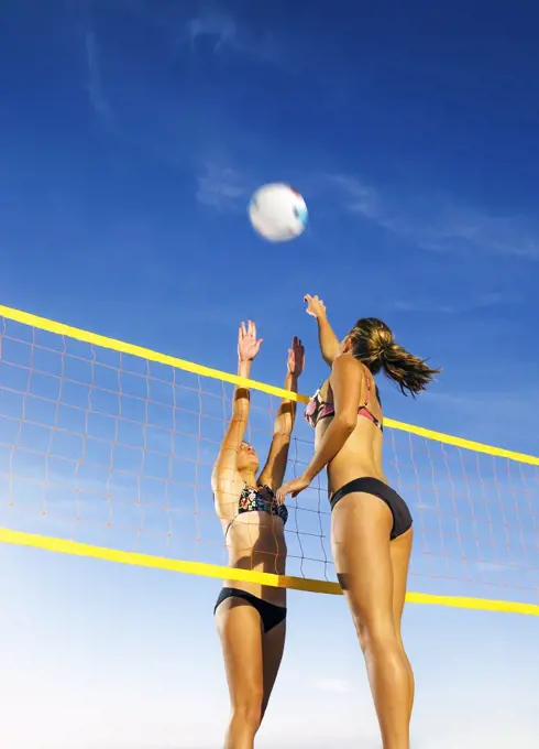 Opposing team members reaching for the volley ball on either side of the net