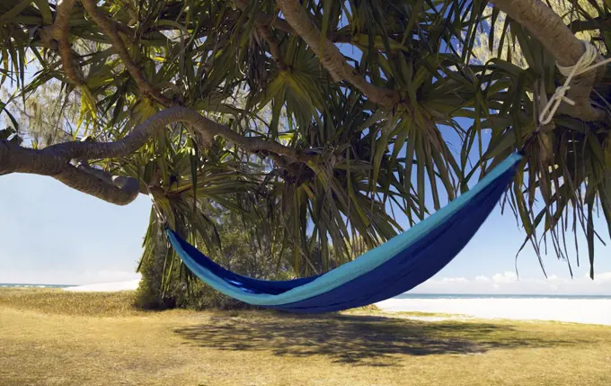Hammock hanging under tropical tree at beach