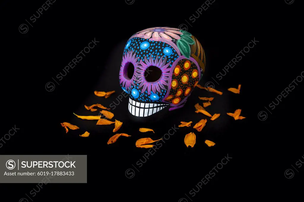 One colorful skull and cempasuchil flowers (for day of the dead)