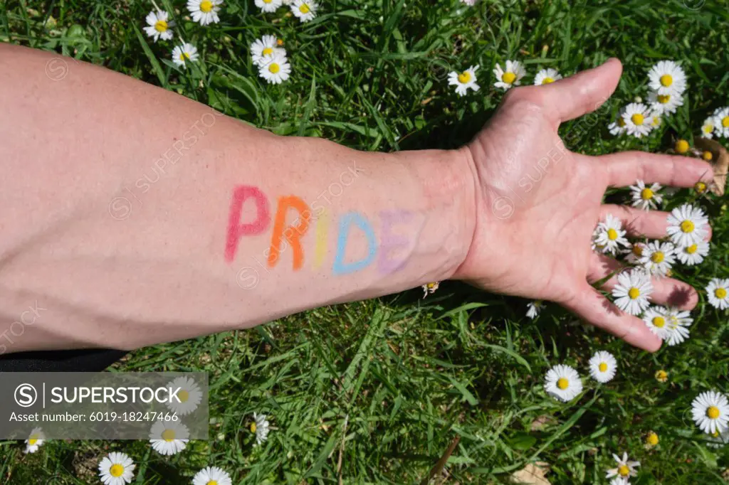 arm of a man painted with the word pride in the colors of the lgtbi flag stretched over a lawn full of daisies.