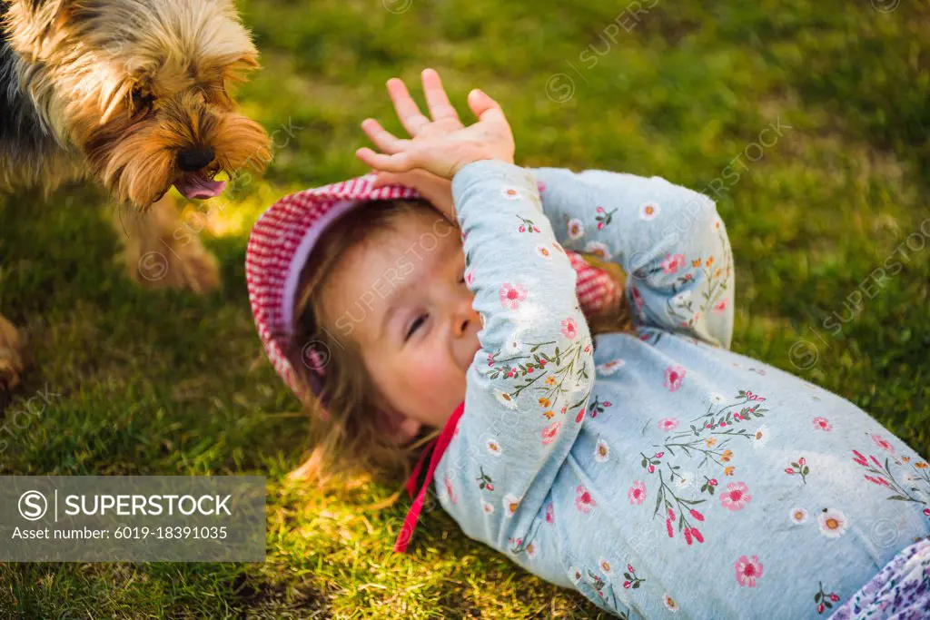 Baby girl lying on grass with dog in backyard on summer day.