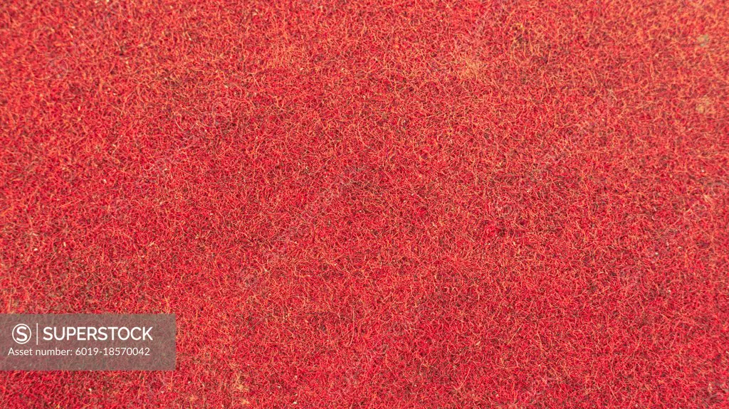 Close-up photo of red soft rug