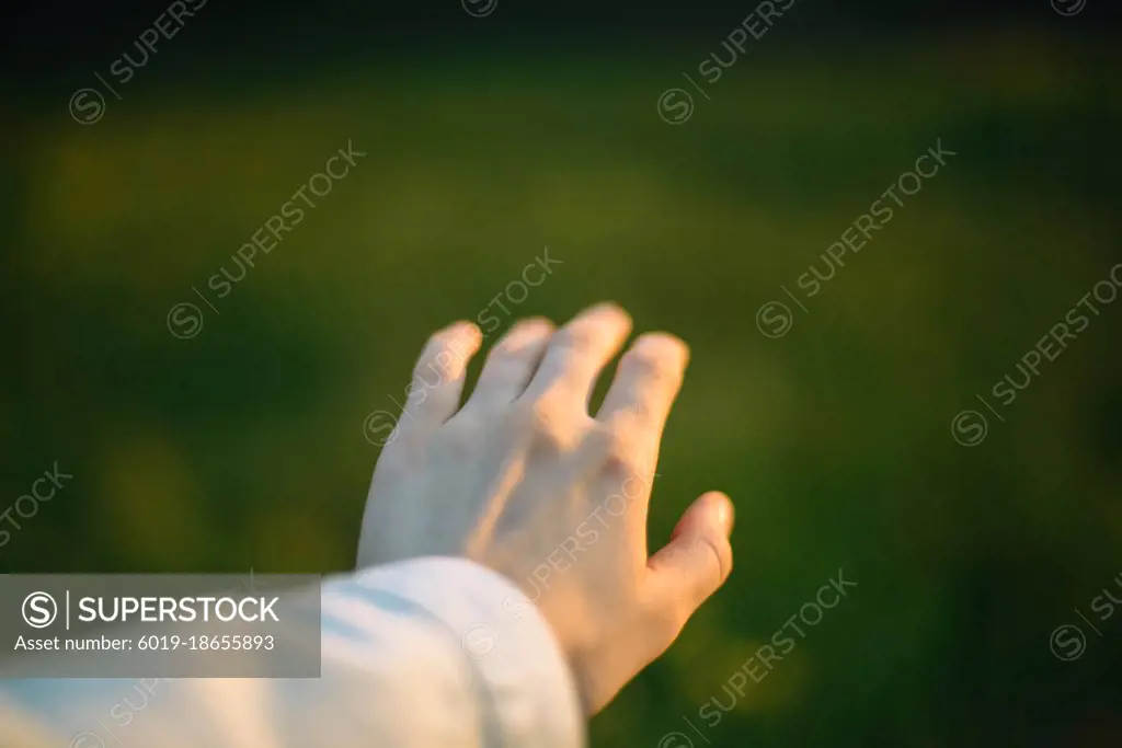 hand of  young woman  in field