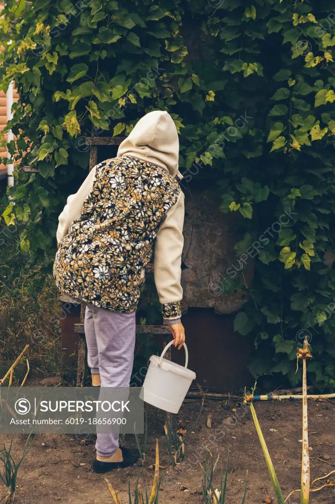 Woman in warm clothes with bucket climbs stairs to pick grapes