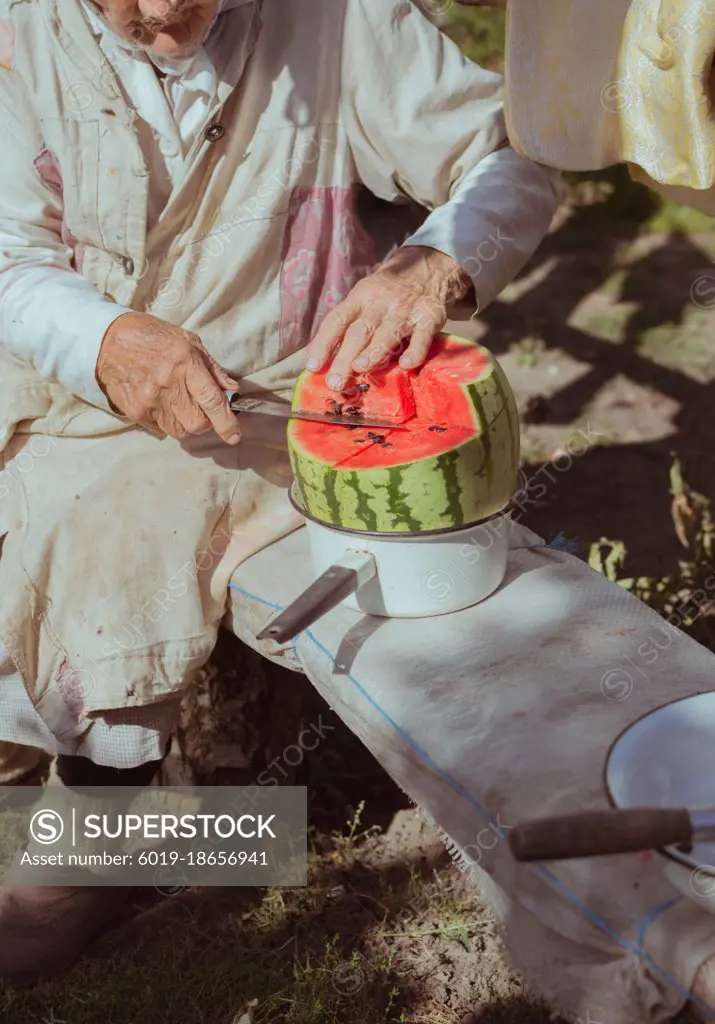 Old woman cuts large watermelon on bench on sunny day