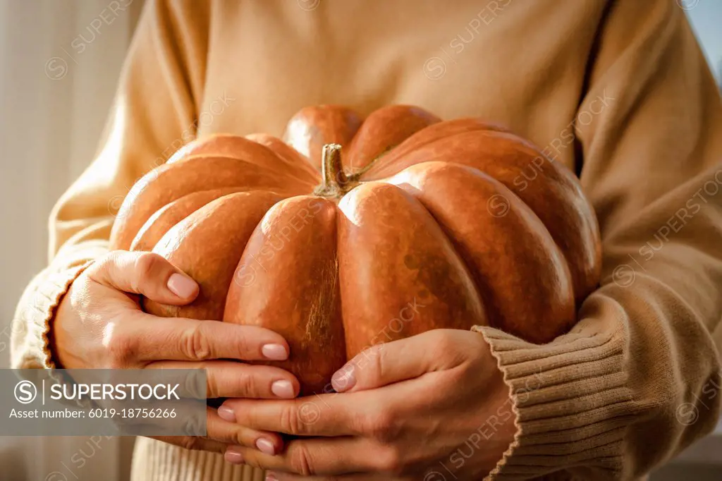 A large orange pumpkin in the hands of a woman