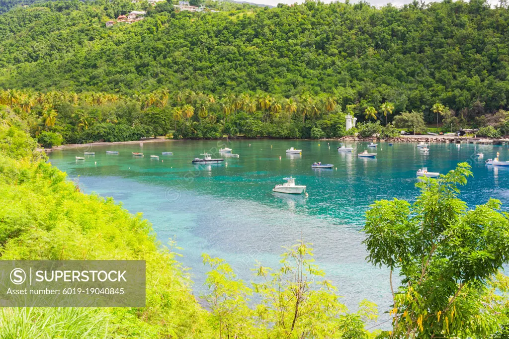 Anse a la barque, Pointe Batterie, Basse-Terre, Guadeloupe