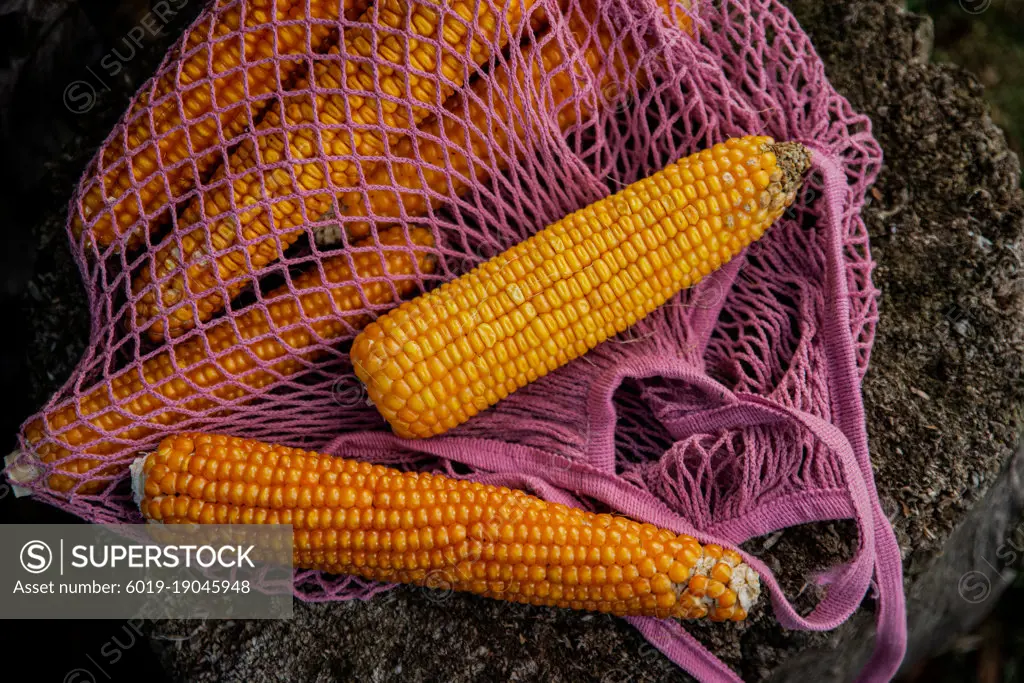 Cob corns inside pink eco knitted bag.