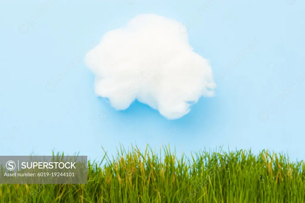 Studio Image of Green Grass on Blue Background with White Clouds