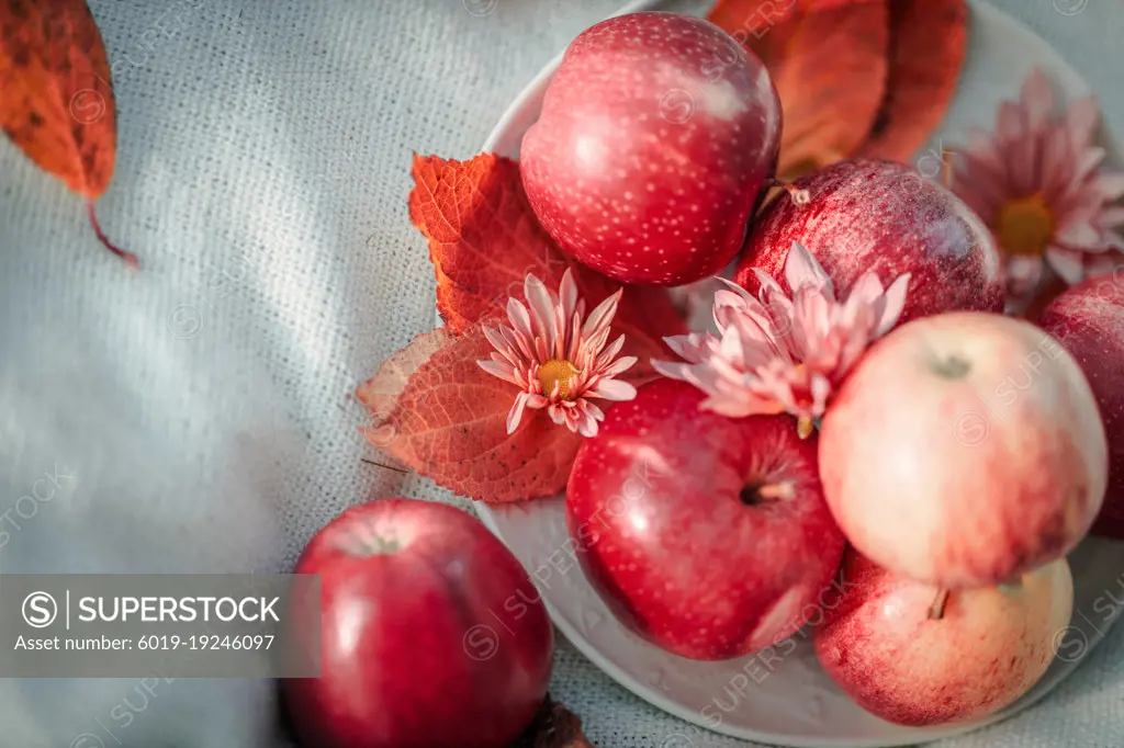 Dish with red apples on a white blanket.