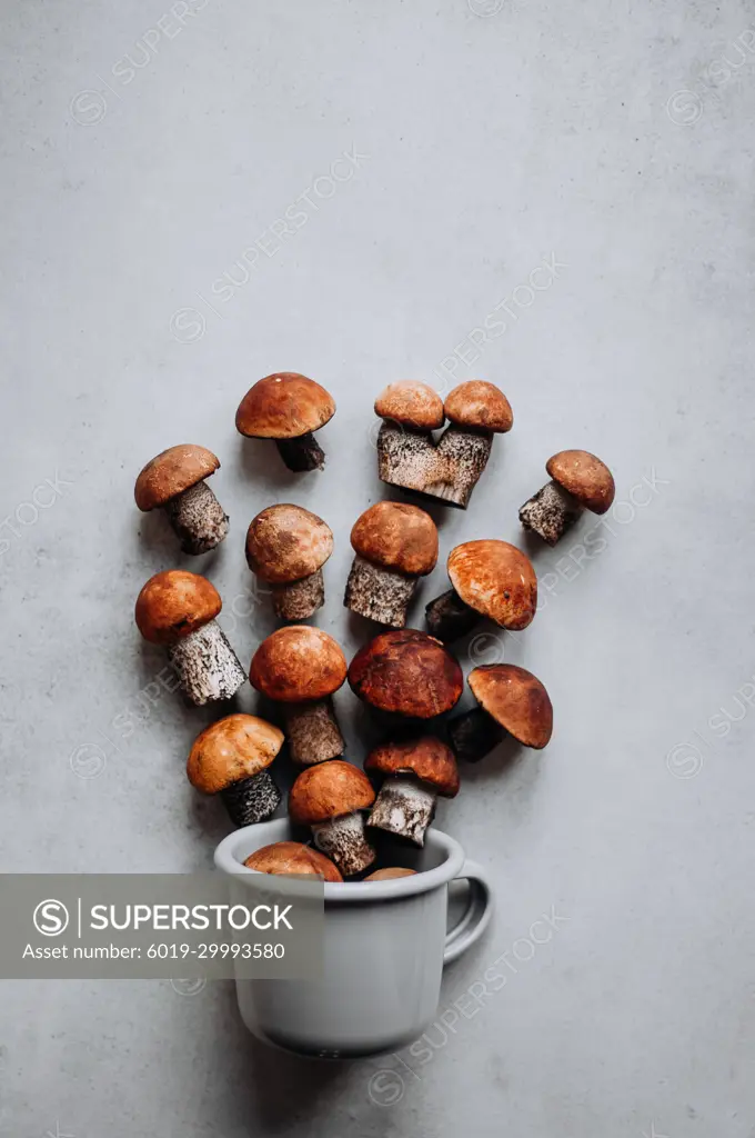 A gray metal mug with spilled out boletus against a ceramic tile.