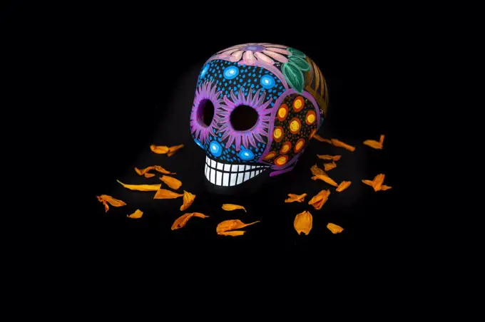 One colorful skull and cempasuchil flowers (for day of the dead)